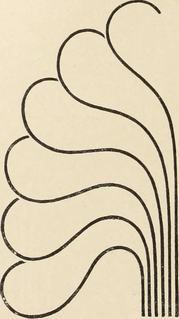 An illustration from Méthode de composition ornementale, 1905, leaf 101