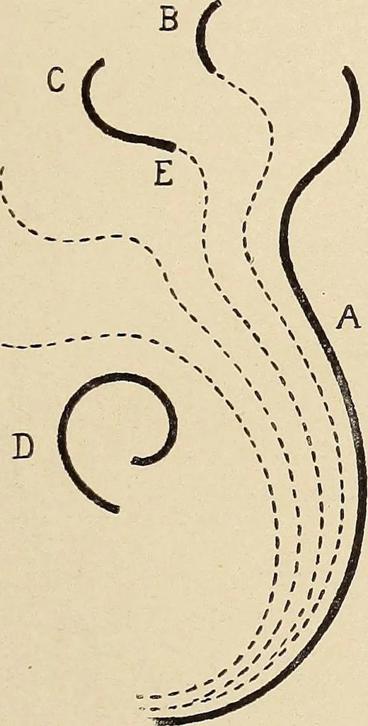An illustration from Méthode de composition ornementale, 1905, leaf 106