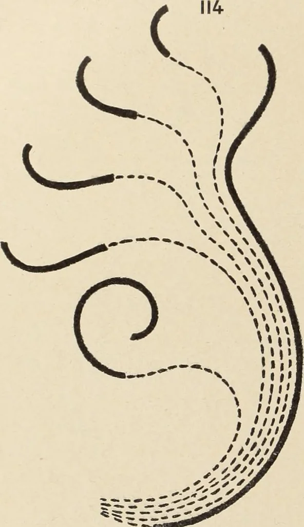 An illustration from Méthode de composition ornementale, 1905, leaf 107