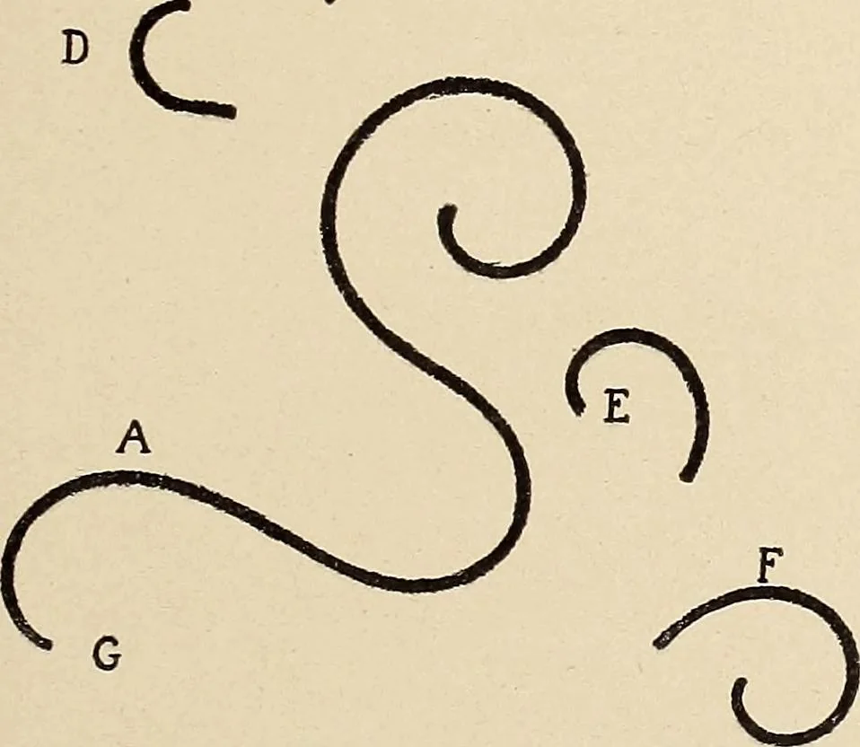 An illustration from Méthode de composition ornementale, 1905, leaf 108