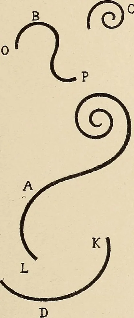 An illustration from Méthode de composition ornementale, 1905, leaf 112