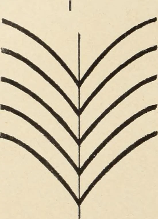 An illustration from Méthode de composition ornementale, 1905, leaf 117