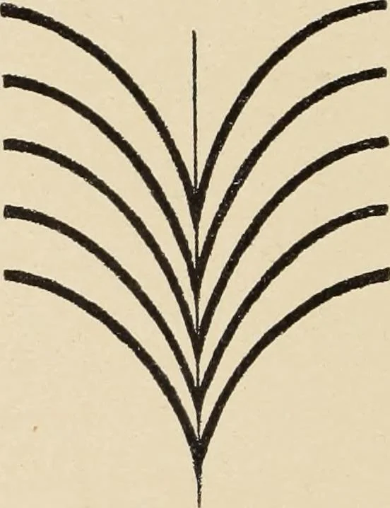 An illustration from Méthode de composition ornementale, 1905, leaf 117