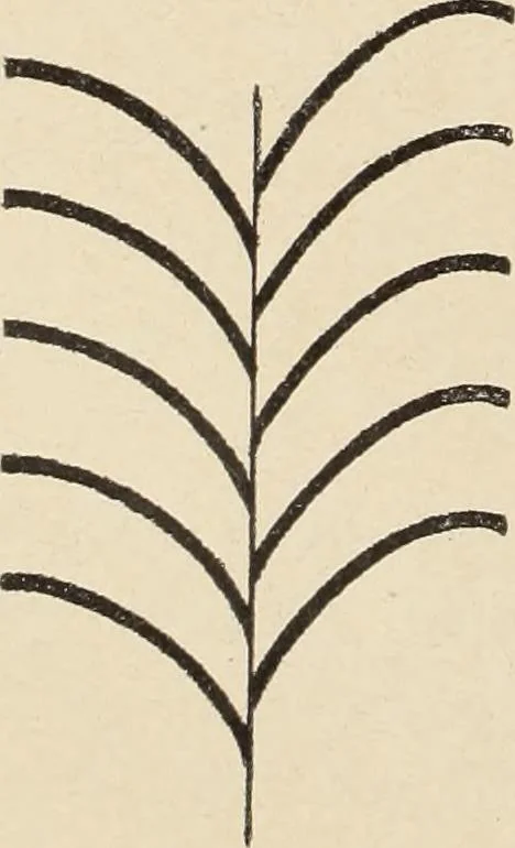 An illustration from Méthode de composition ornementale, 1905, leaf 117