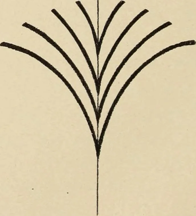 An illustration from Méthode de composition ornementale, 1905, leaf 117