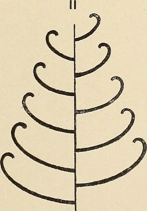 An illustration from Méthode de composition ornementale, 1905, leaf 118