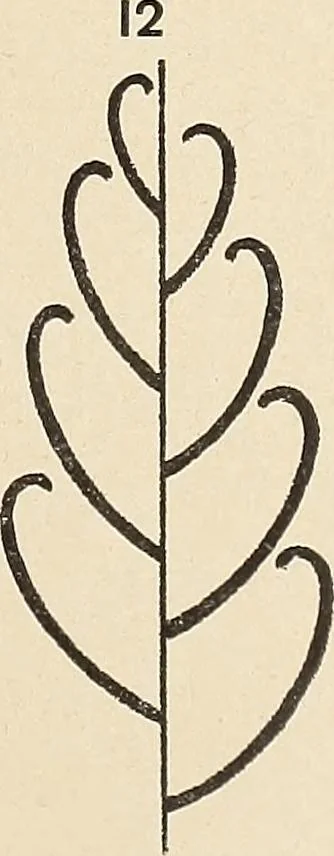 An illustration from Méthode de composition ornementale, 1905, leaf 118