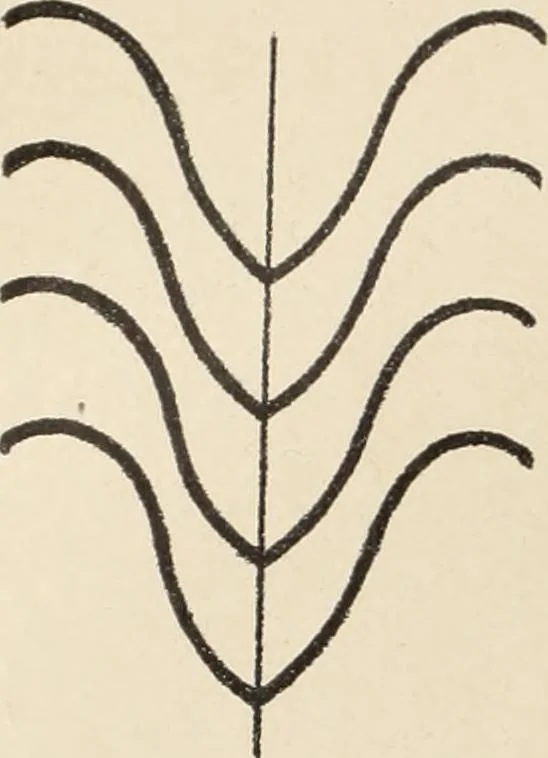 An illustration from Méthode de composition ornementale, 1905, leaf 119