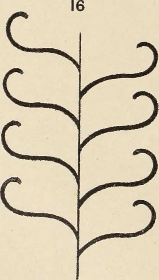 An illustration from Méthode de composition ornementale, 1905, leaf 119