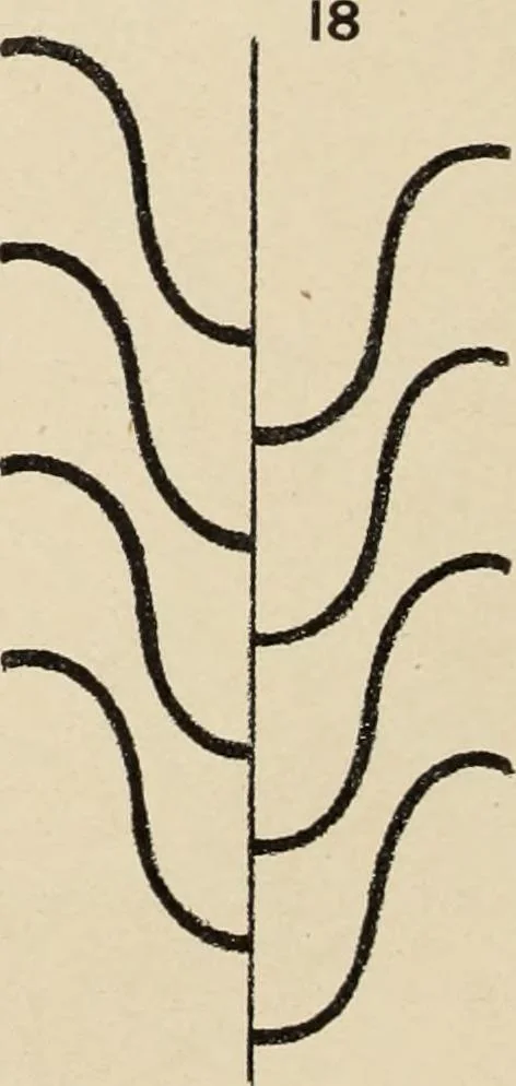 An illustration from Méthode de composition ornementale, 1905, leaf 119