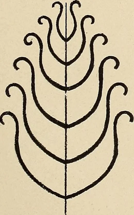 An illustration from Méthode de composition ornementale, 1905, leaf 120