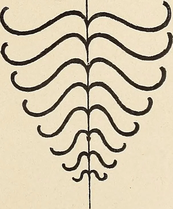 An illustration from Méthode de composition ornementale, 1905, leaf 120