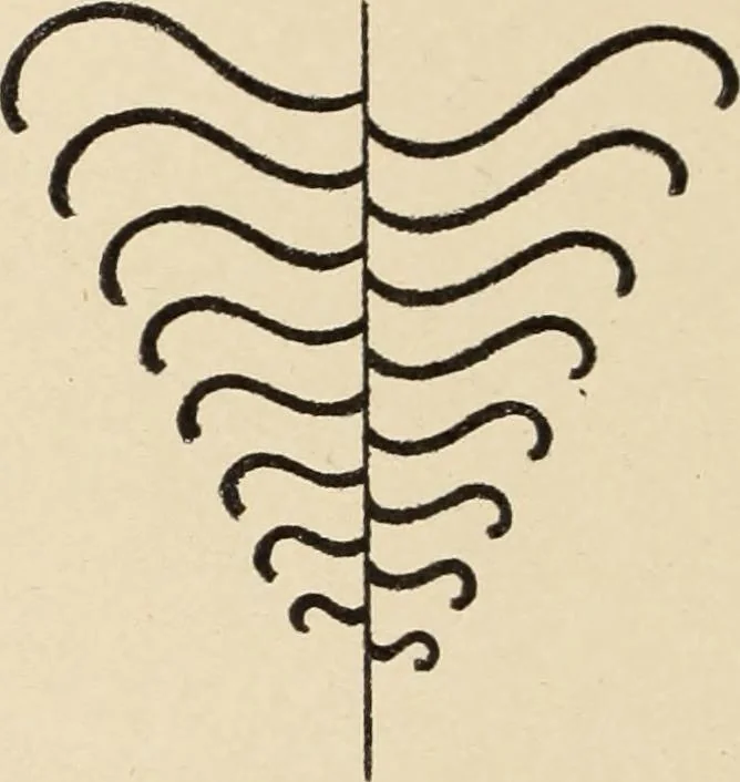 An illustration from Méthode de composition ornementale, 1905, leaf 121