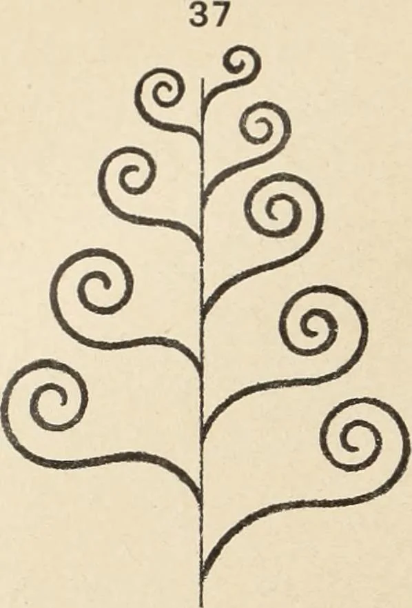 An illustration from Méthode de composition ornementale, 1905, leaf 123