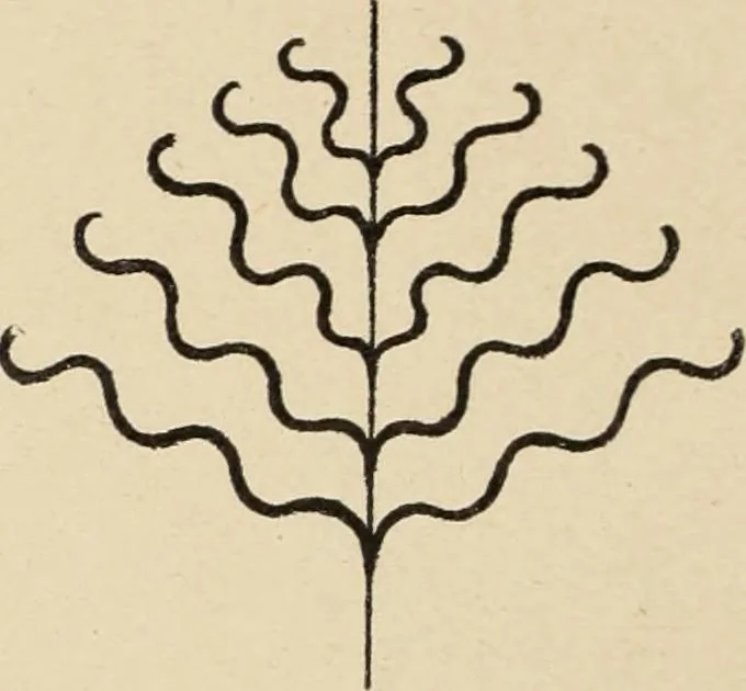 An illustration from Méthode de composition ornementale, 1905, leaf 123