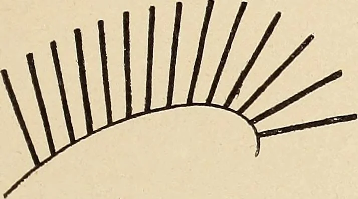 An illustration from Méthode de composition ornementale, 1905, leaf 126