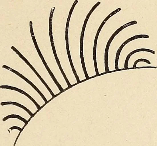 An illustration from Méthode de composition ornementale, 1905, leaf 126