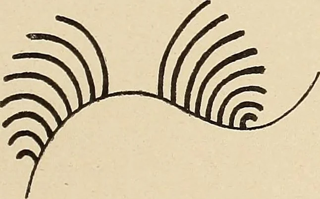 An illustration from Méthode de composition ornementale, 1905, leaf 126