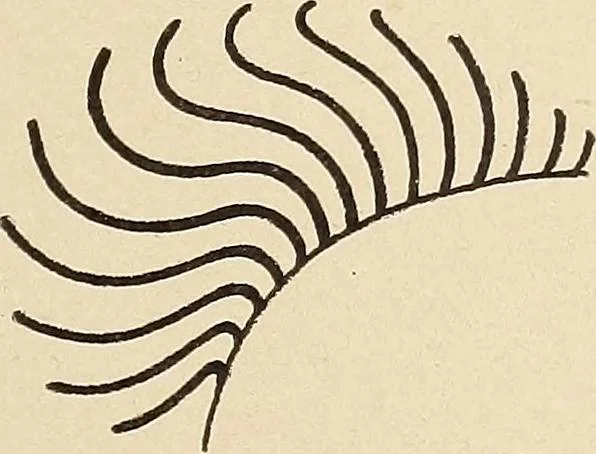 An illustration from Méthode de composition ornementale, 1905, leaf 126