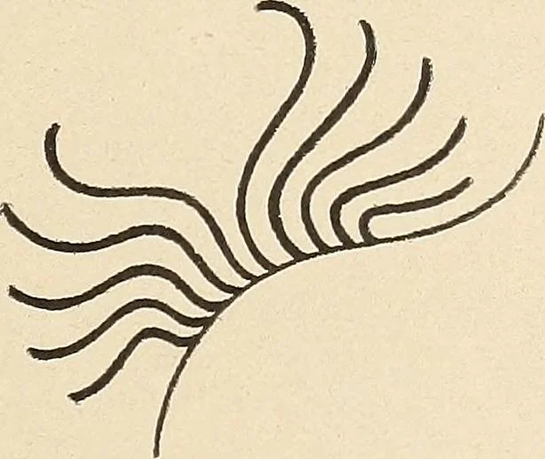 An illustration from Méthode de composition ornementale, 1905, leaf 126