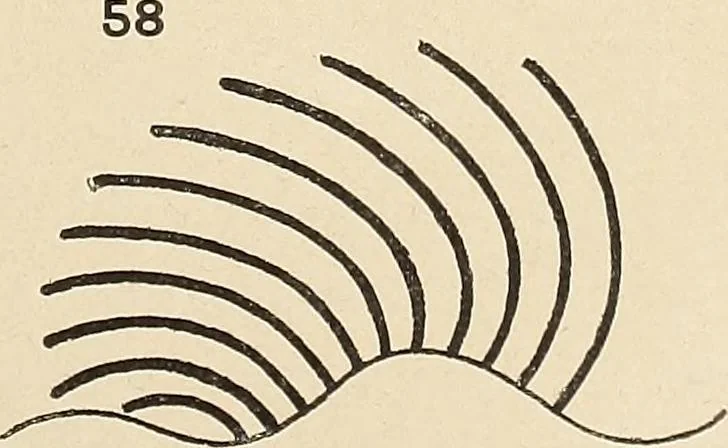 An illustration from Méthode de composition ornementale, 1905, leaf 126
