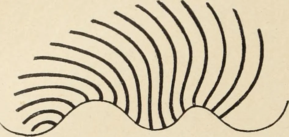 An illustration from Méthode de composition ornementale, 1905, leaf 127