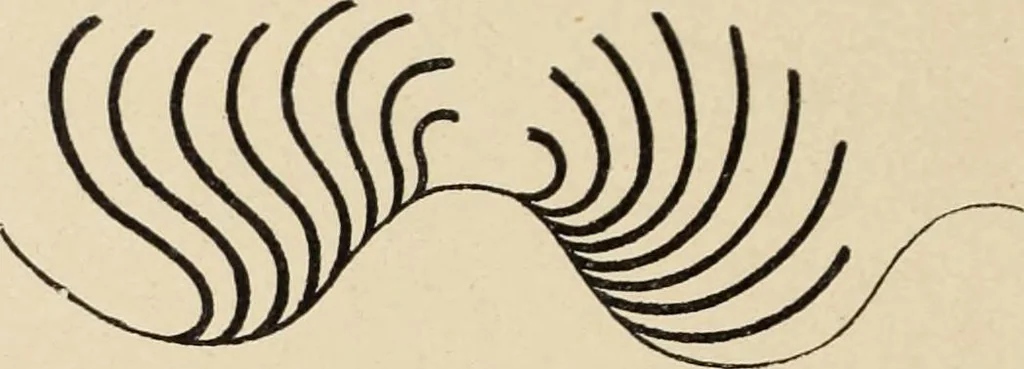 An illustration from Méthode de composition ornementale, 1905, leaf 127