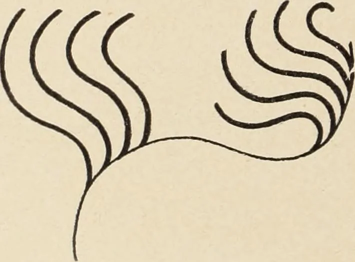 An illustration from Méthode de composition ornementale, 1905, leaf 127