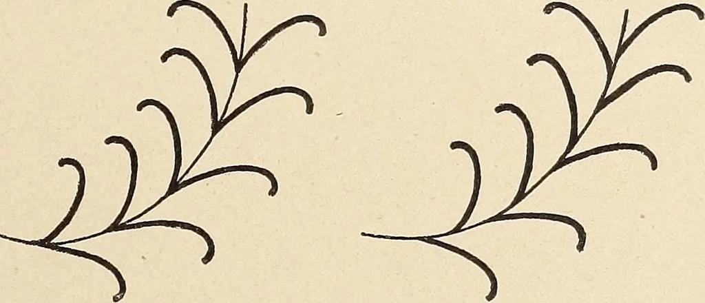 An illustration from Méthode de composition ornementale, 1905, leaf 128