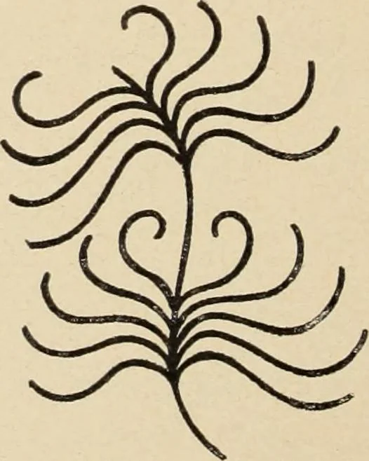 An illustration from Méthode de composition ornementale, 1905, leaf 129