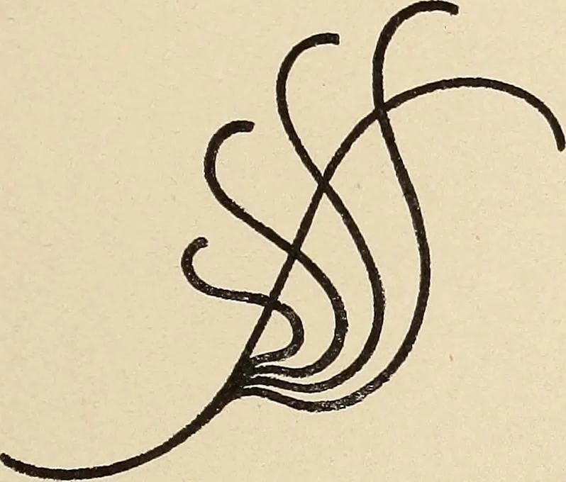 An illustration from Méthode de composition ornementale, 1905, leaf 130