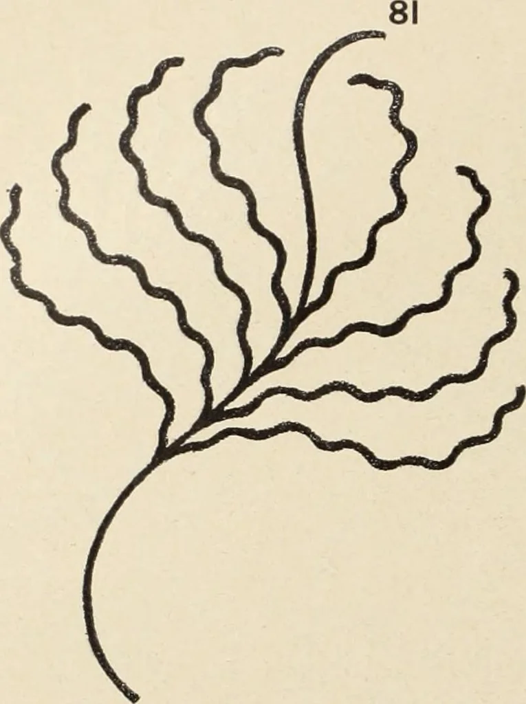 An illustration from Méthode de composition ornementale, 1905, leaf 131