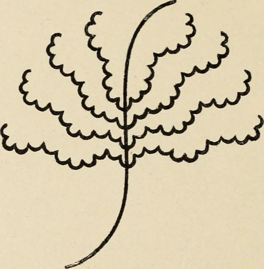 An illustration from Méthode de composition ornementale, 1905, leaf 131