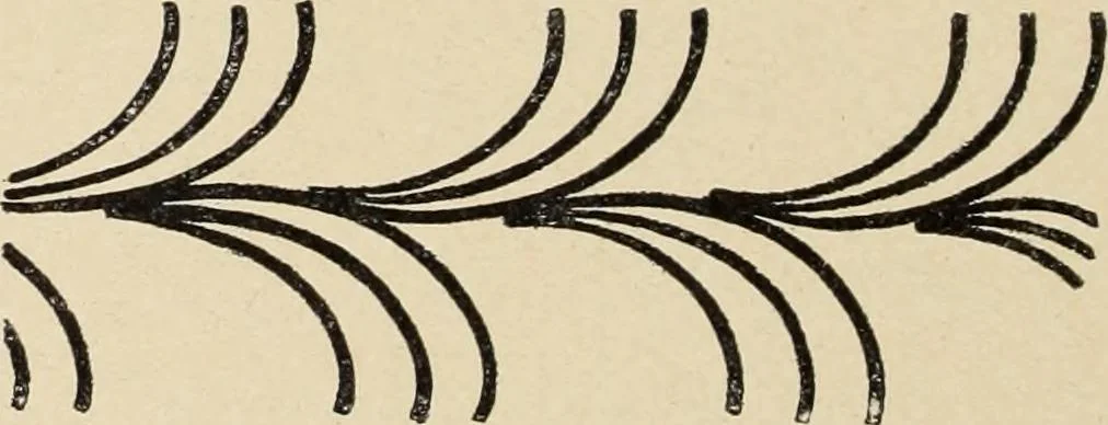 An illustration from Méthode de composition ornementale, 1905, leaf 133