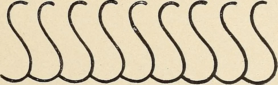 An illustration from Méthode de composition ornementale, 1905, leaf 134