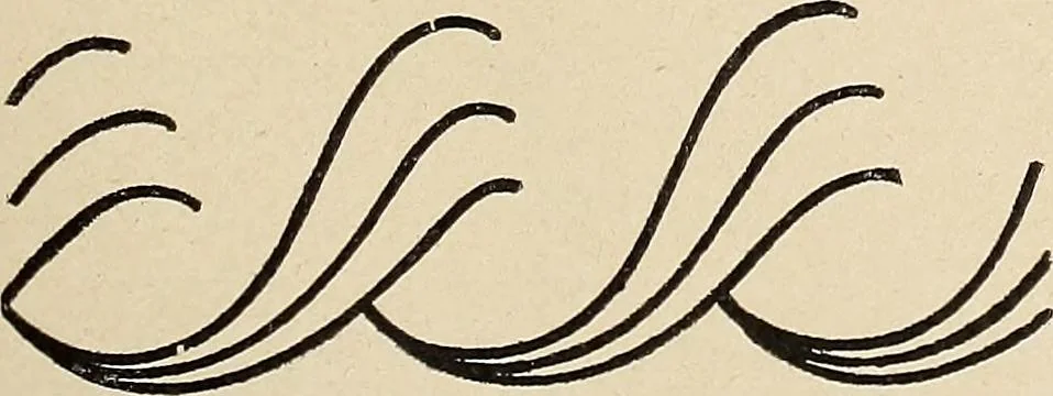 An illustration from Méthode de composition ornementale, 1905, leaf 134