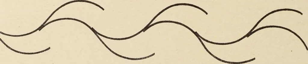 An illustration from Méthode de composition ornementale, 1905, leaf 145