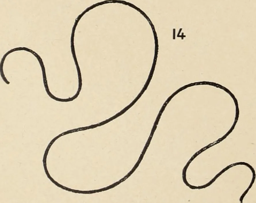 An illustration from Méthode de composition ornementale, 1905, leaf 15