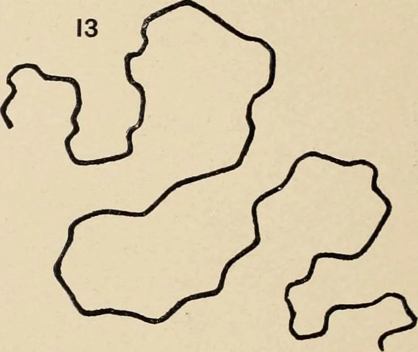 An illustration from Méthode de composition ornementale, 1905, leaf 15