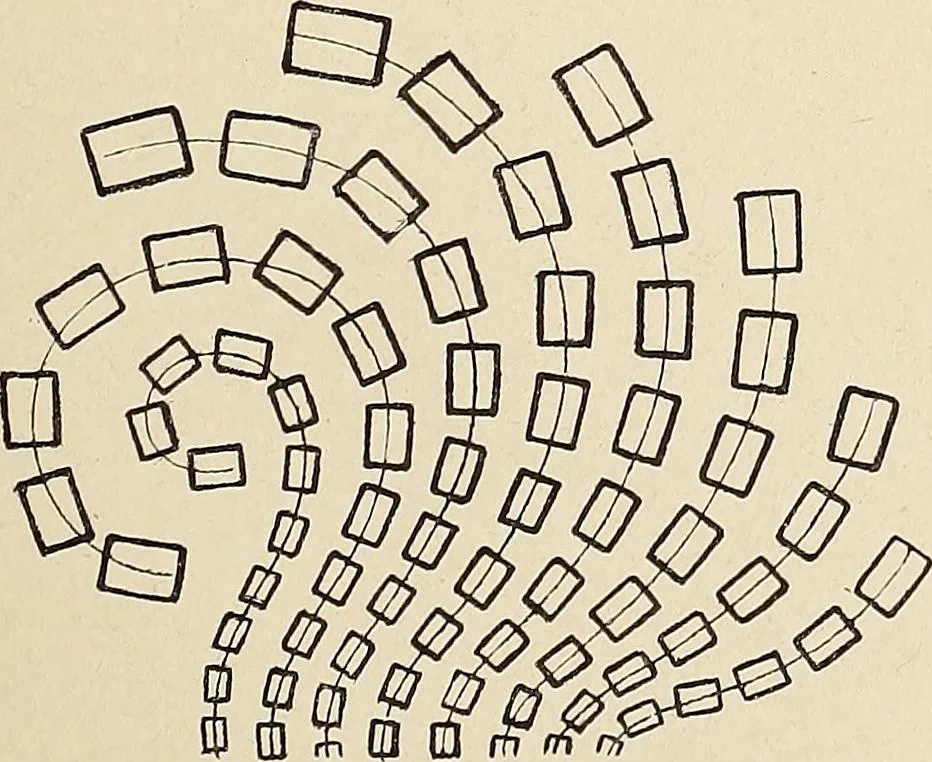 An illustration from Méthode de composition ornementale, 1905, leaf 194