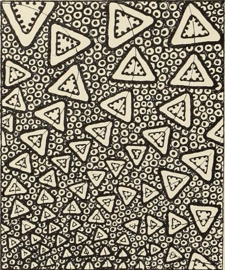 An illustration from Méthode de composition ornementale, 1905, leaf 195