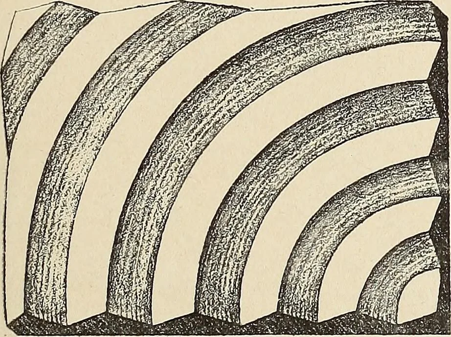 An illustration from Méthode de composition ornementale, 1905, leaf 202