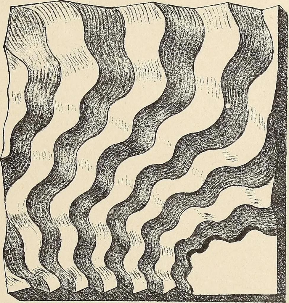 An illustration from Méthode de composition ornementale, 1905, leaf 204