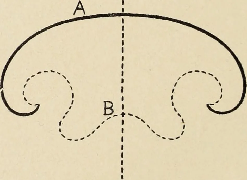 An illustration from Méthode de composition ornementale, 1905, leaf 205
