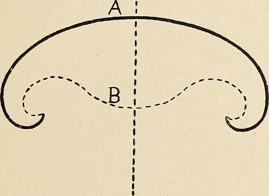 An illustration from Méthode de composition ornementale, 1905, leaf 206