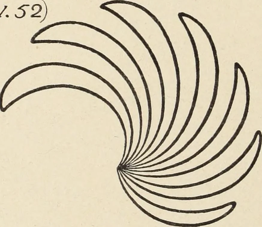 An illustration from Méthode de composition ornementale, 1905, leaf 207