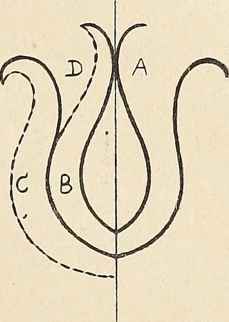 An illustration from Méthode de composition ornementale, 1905, leaf 212