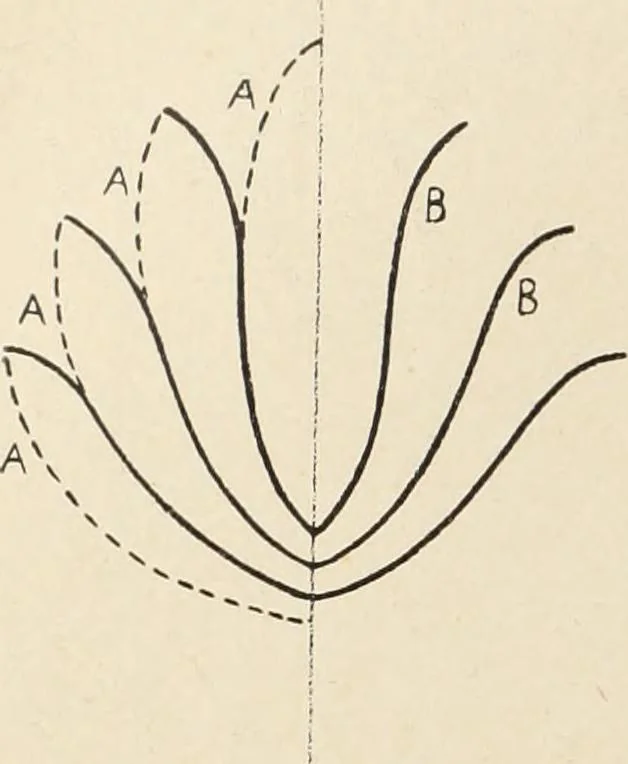 An illustration from Méthode de composition ornementale, 1905, leaf 213