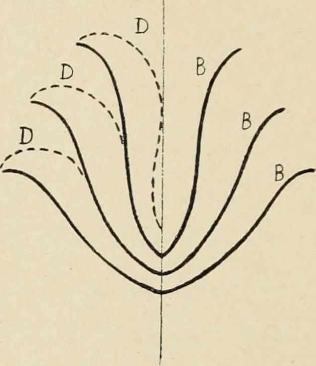 An illustration from Méthode de composition ornementale, 1905, leaf 213