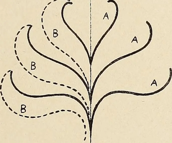 An illustration from Méthode de composition ornementale, 1905, leaf 214